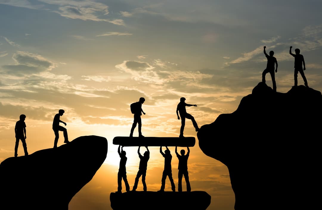 Teamwork and collaboration
